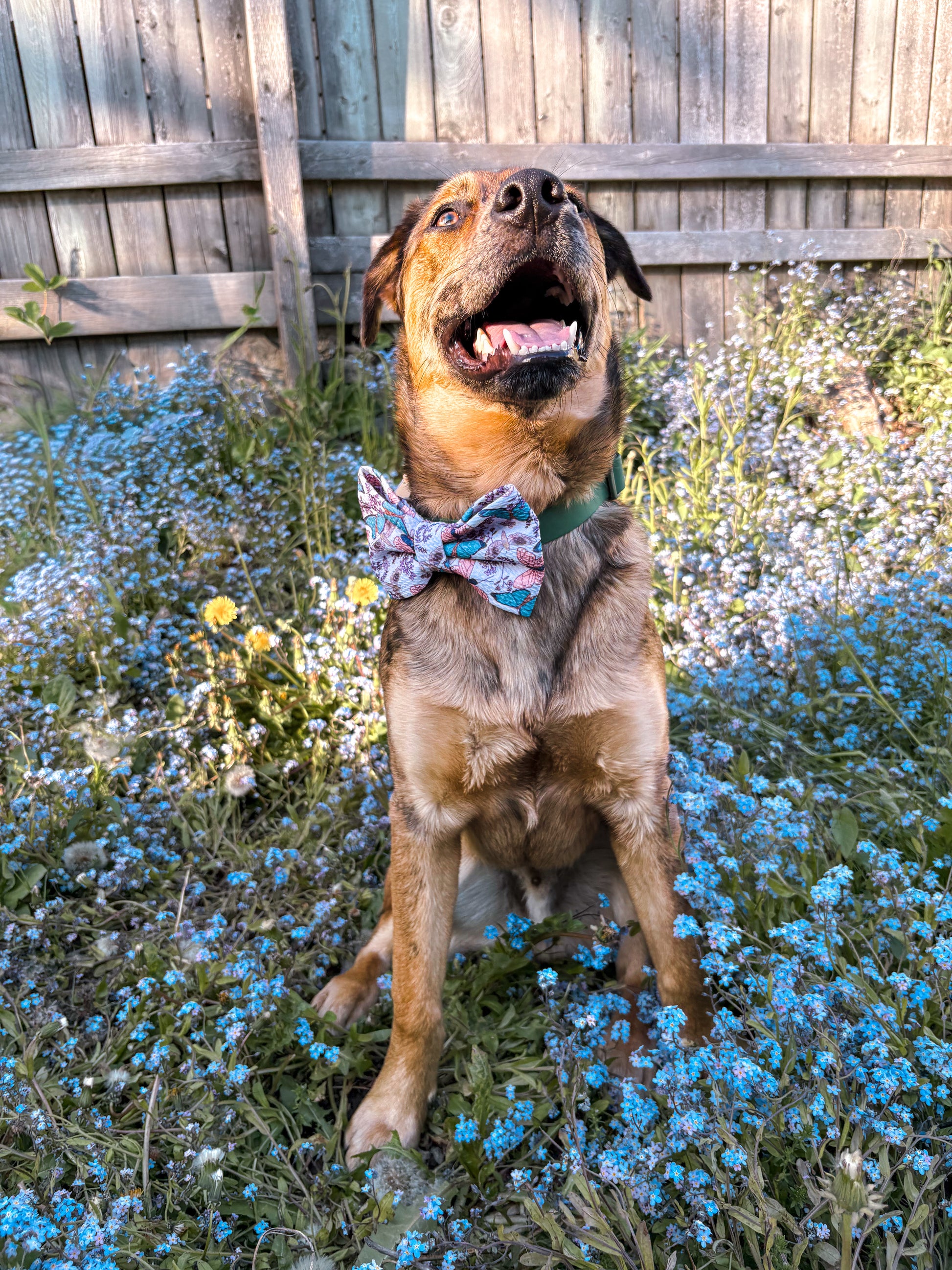 Flutter and Bloom Collection - Blush Flutter Bow Tie