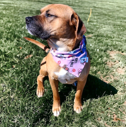 Adoption Collection - Kiss a Bull Pet Bandanas and Hair Scrunchies