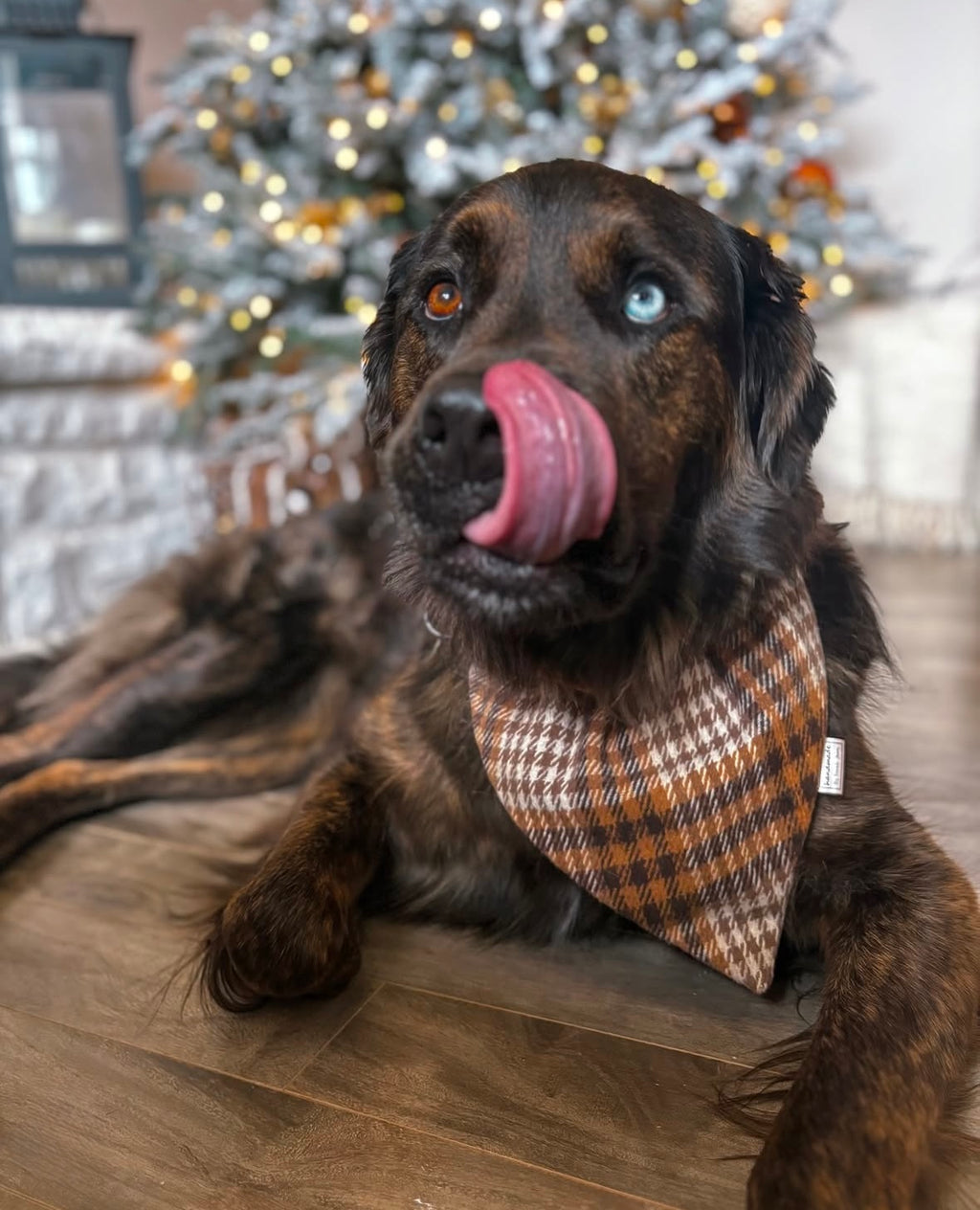 Lumberjack Plaid Collection - Beige/Brown/White Bandanas and Hair Scrunchies
