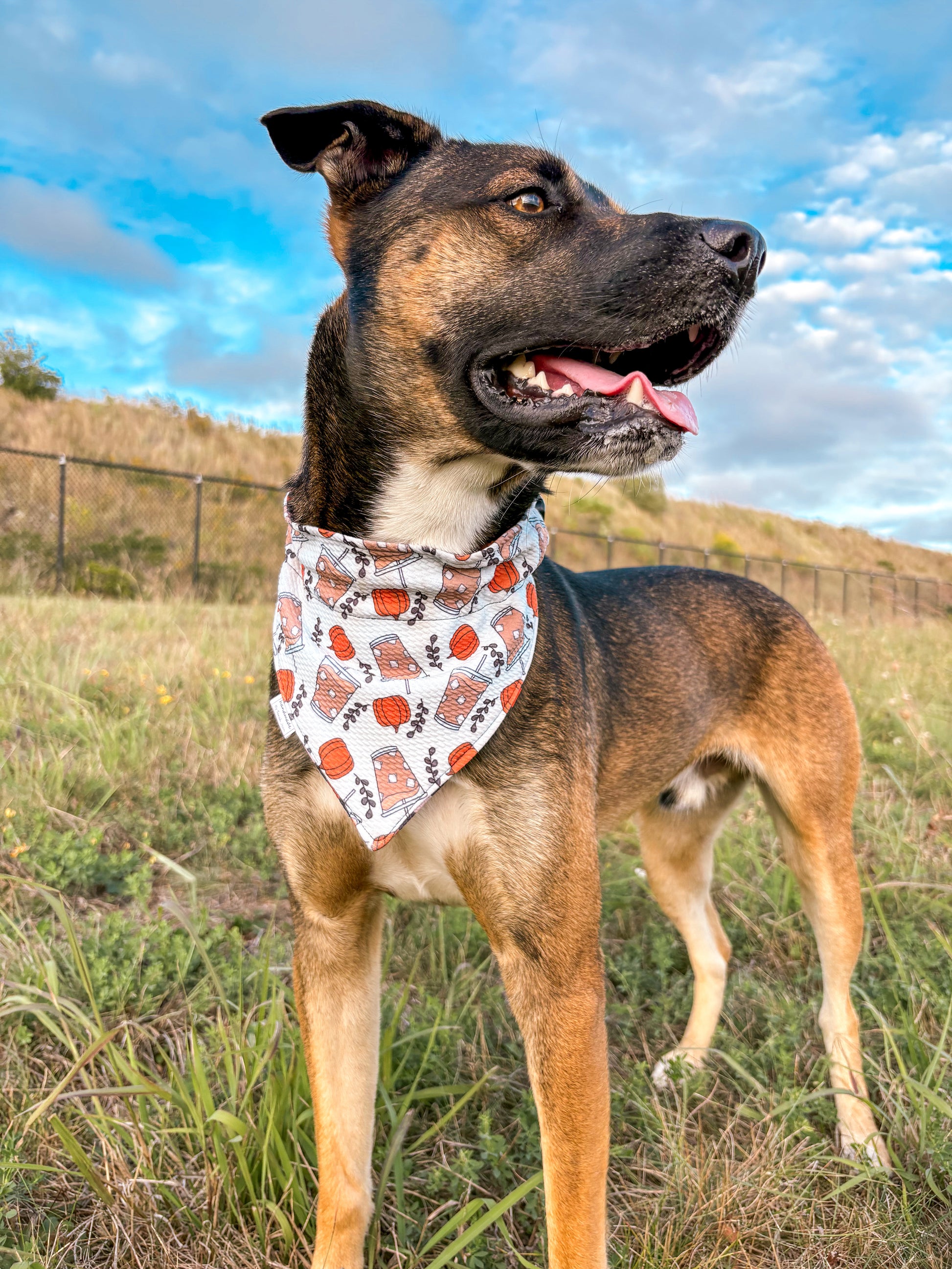 Harvest Hues Collection - Pumpkin Spice Double Sided Bandana