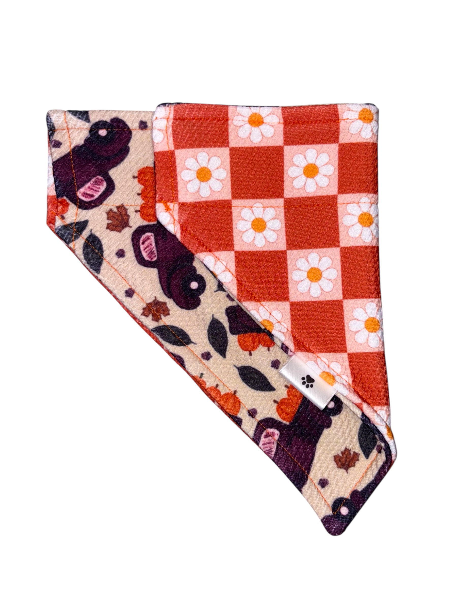 Harvest Hues Collection - Country Harvest Double Sided Bandana