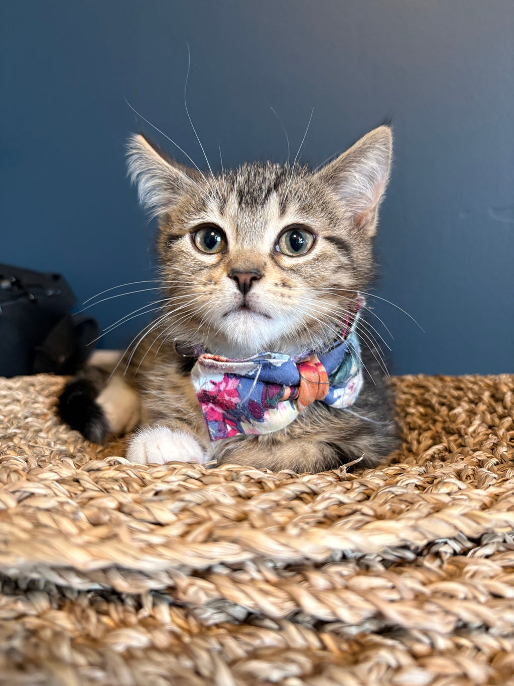 The Tiffany Collection – Midnight Bloom Bow Tie
