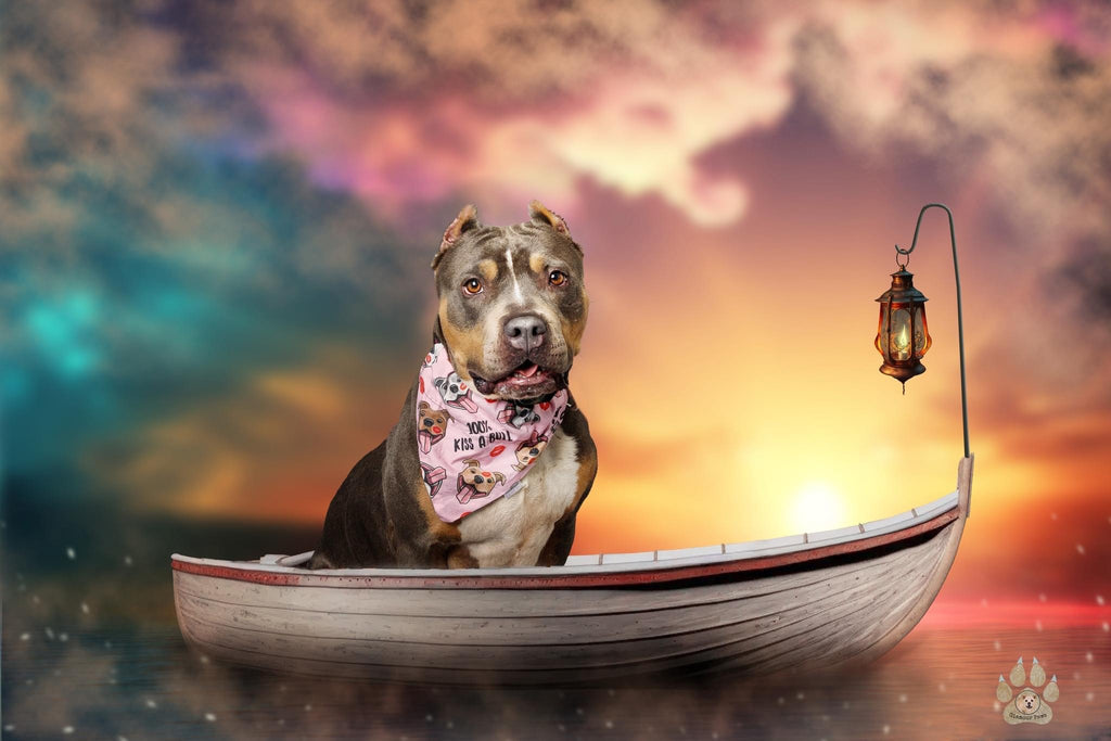 Adoption Collection - Kiss a Bull Pet Bandana