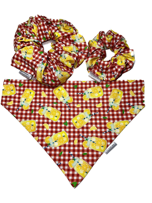 Summer Picnic Collection - Lemonade Please Pet Bandanas and Hair Scrunchies