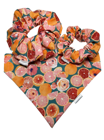 Summer Picnic Collection - Grapefruit Parfait Pet Bandanas and Hair Scrunchies