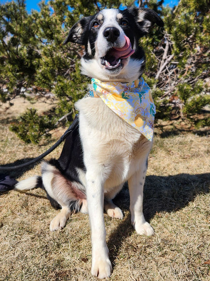 Buzzy Bee Collection - Lemons and Bees Pet Bandanas