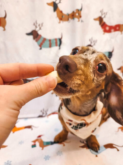 Classic Christmas Collection - Weiner Dogs Bandanas and Hair Scrunchies