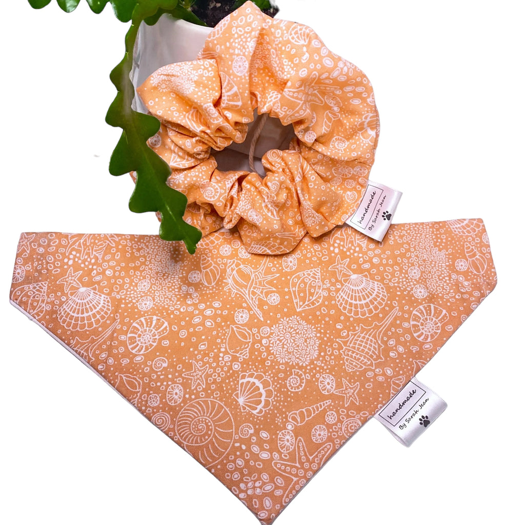 Coral Seashell Pet Bandanas