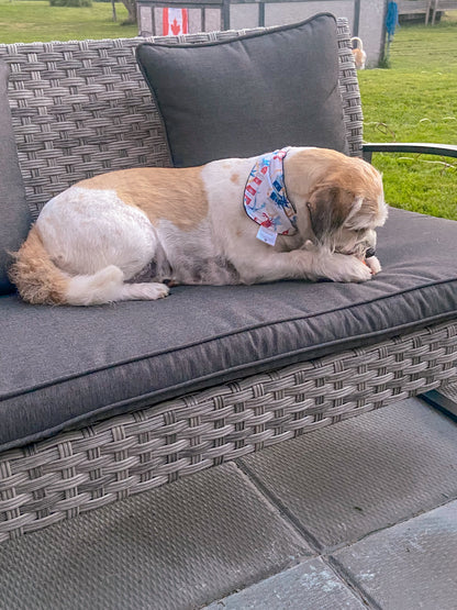 Whatever Floats Your Boat - Lighthouse Pet Bandanas