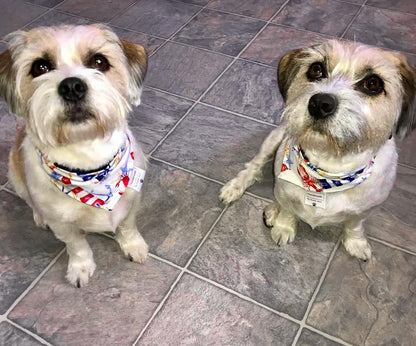 Whatever Floats Your Boat - Lighthouse Pet Bandanas