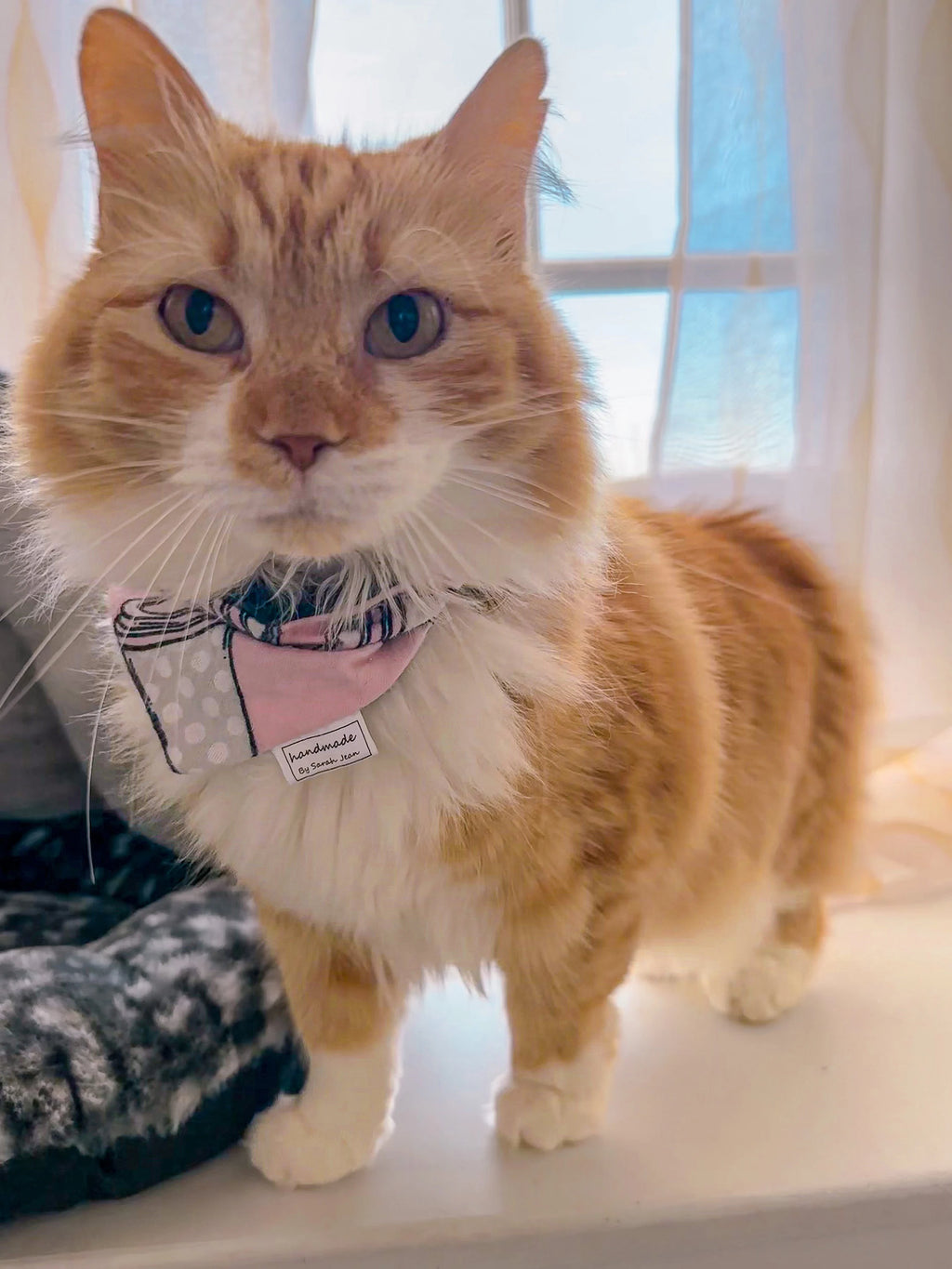 The Perfect Pair Collection - Coffee Cups Pet Bandana