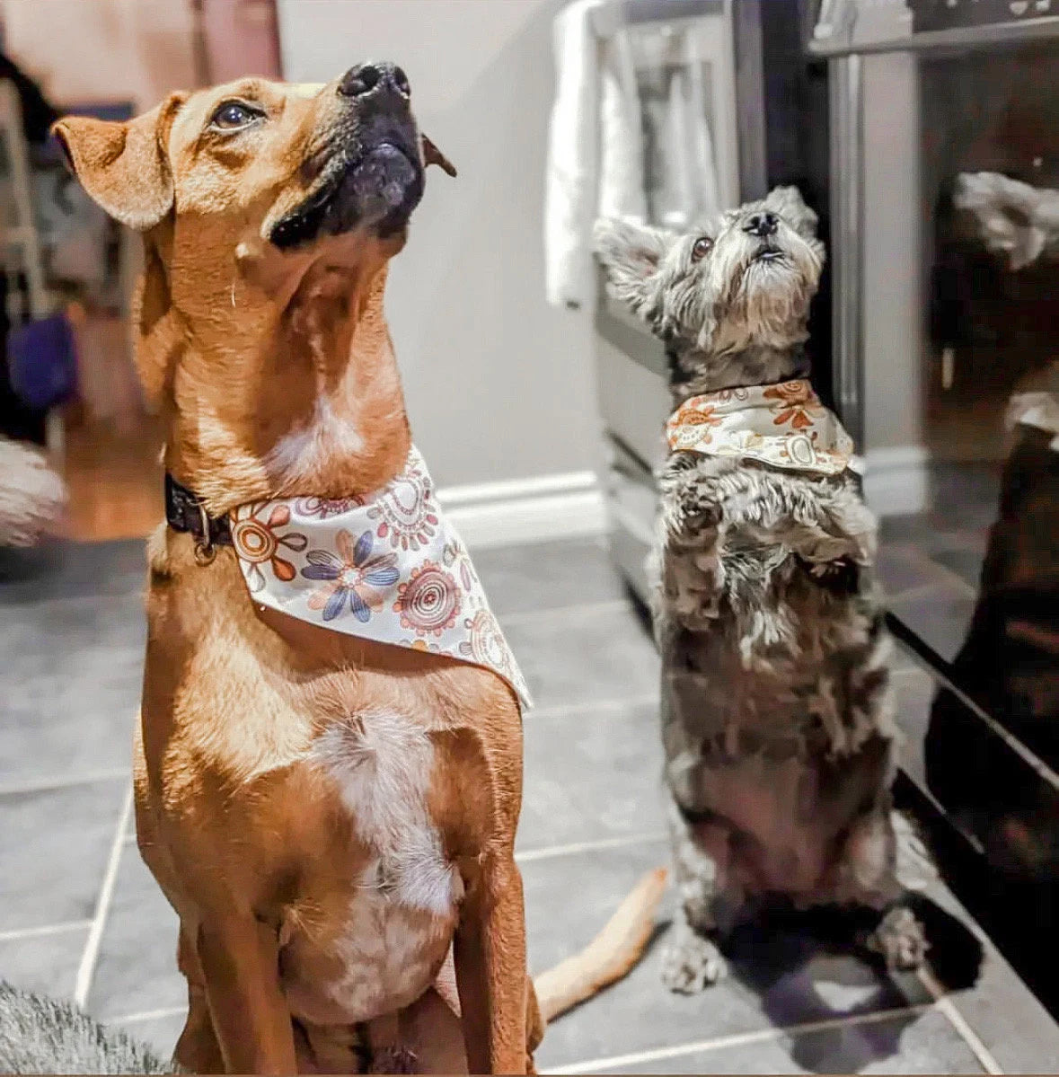 Retro Floral Pet Bandanas