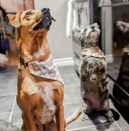 Retro Floral Pet Bandanas