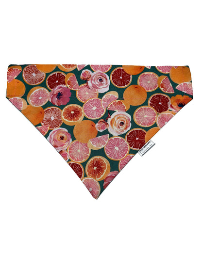 Summer Picnic Collection - Grapefruit Parfait Pet Bandanas and Hair Scrunchies