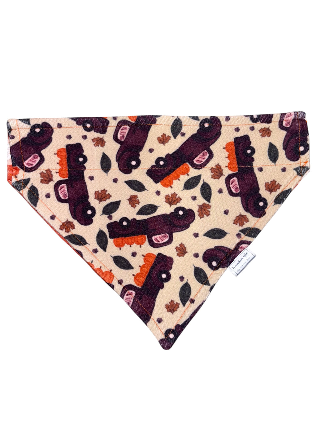 Harvest Hues Collection - Country Harvest Double Sided Bandana