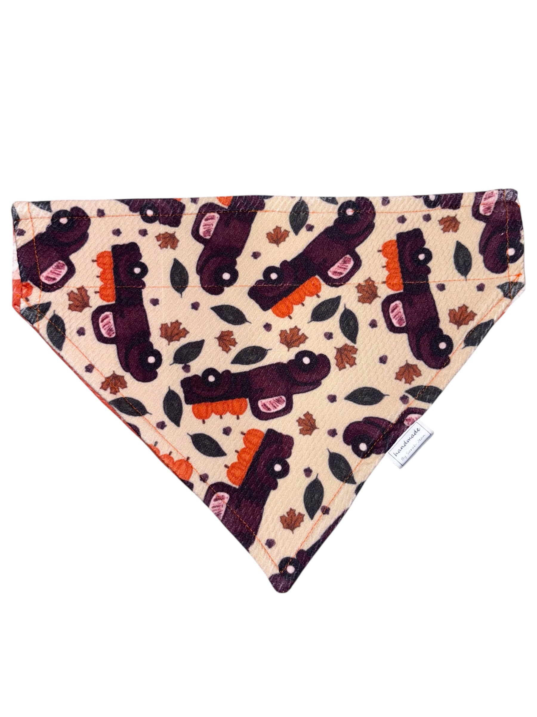 Harvest Hues Collection - Country Harvest Double Sided Bandana