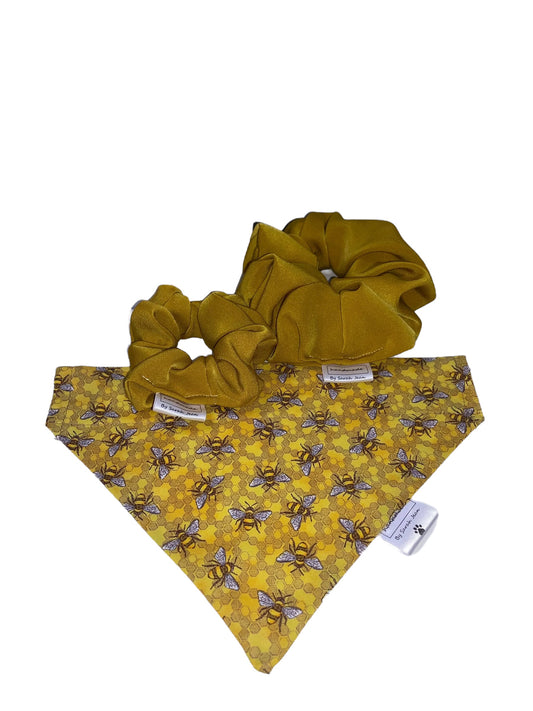 Buzzy Bee Collection - Bee Hive Pet Bandanas