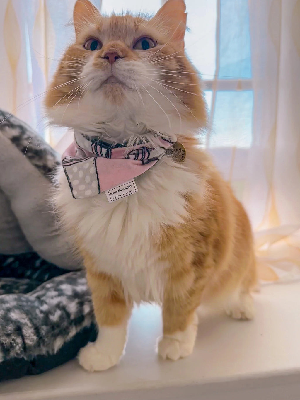 The Perfect Pair Collection - Coffee Cups Pet Bandana