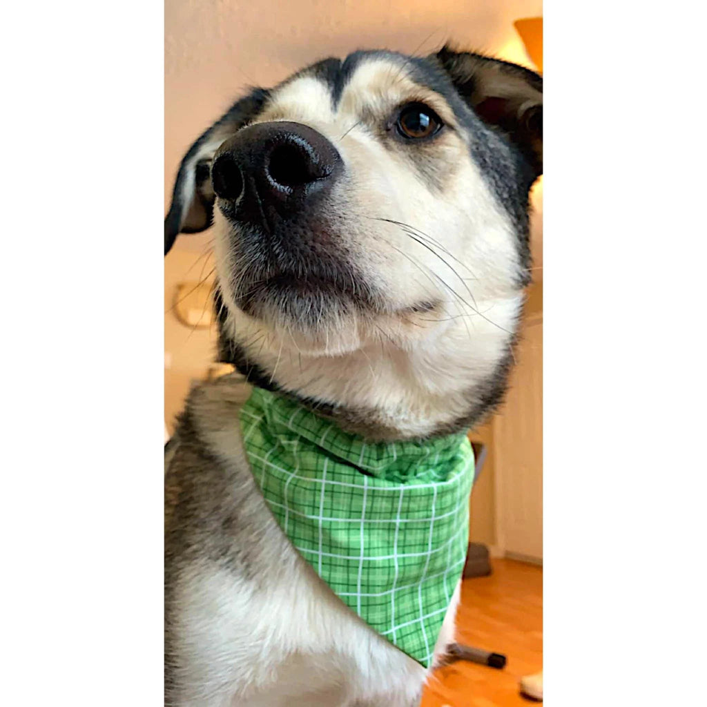 Green Plaid Pet Bandanas and Hair Scrunchies