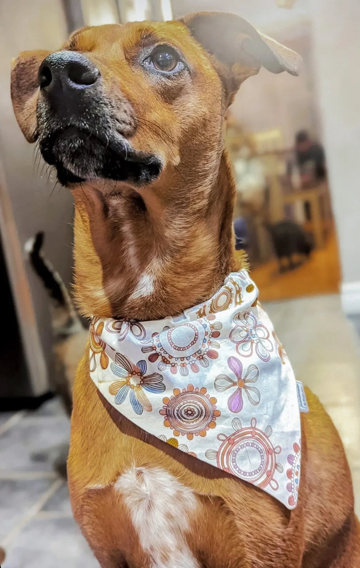 Retro Floral Pet Bandanas