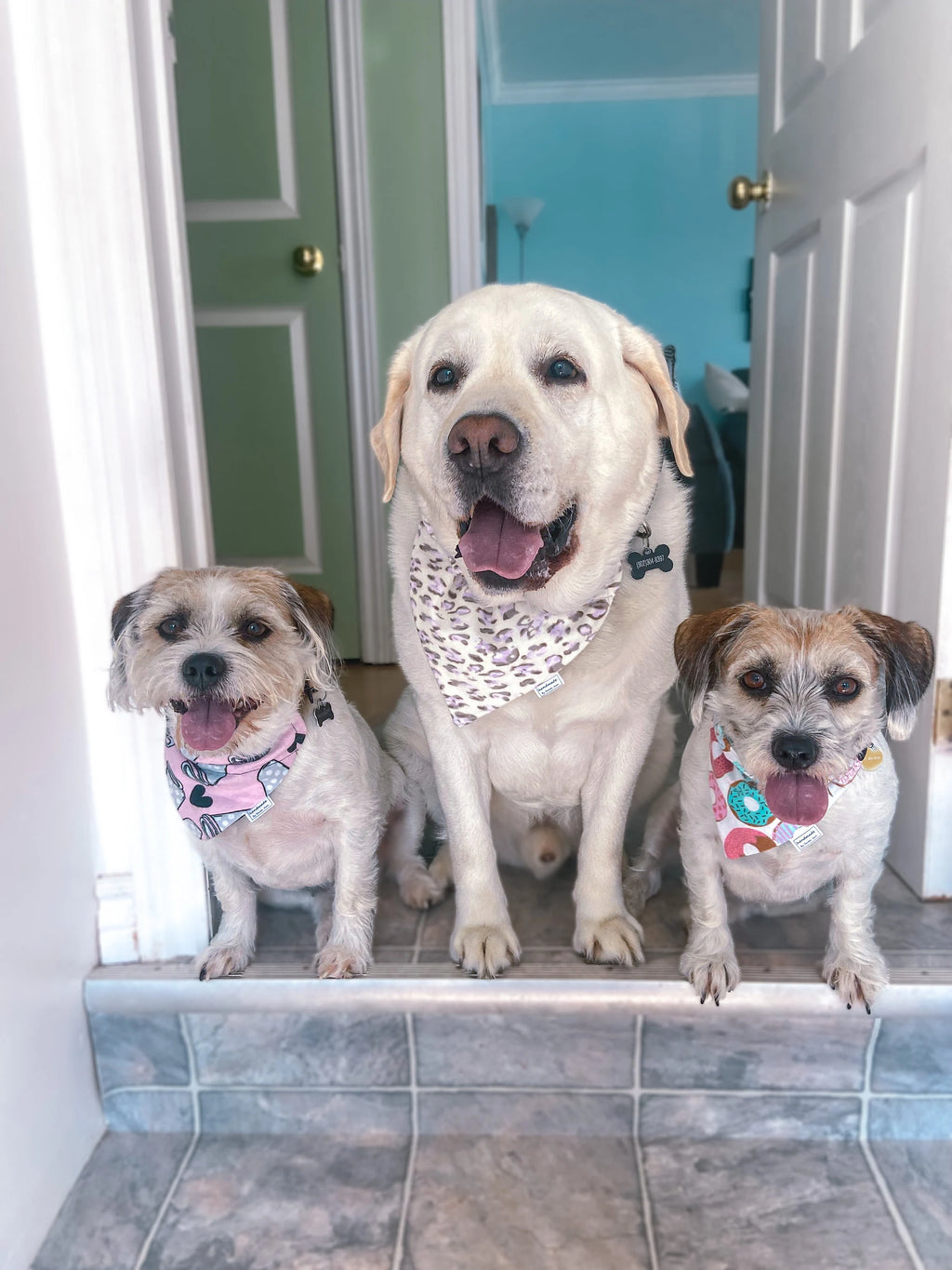 The Perfect Pair Collection - Lavender Leopard Print Pet Bandana