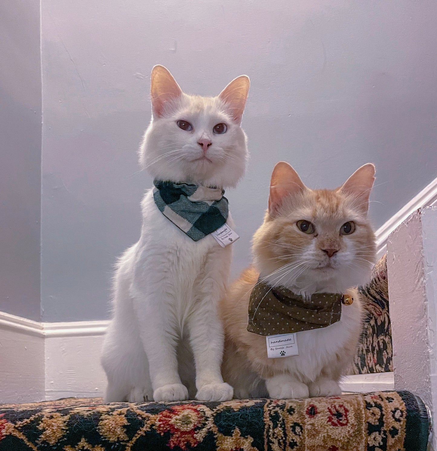 Olive Green Corduroy Pet Bandanas