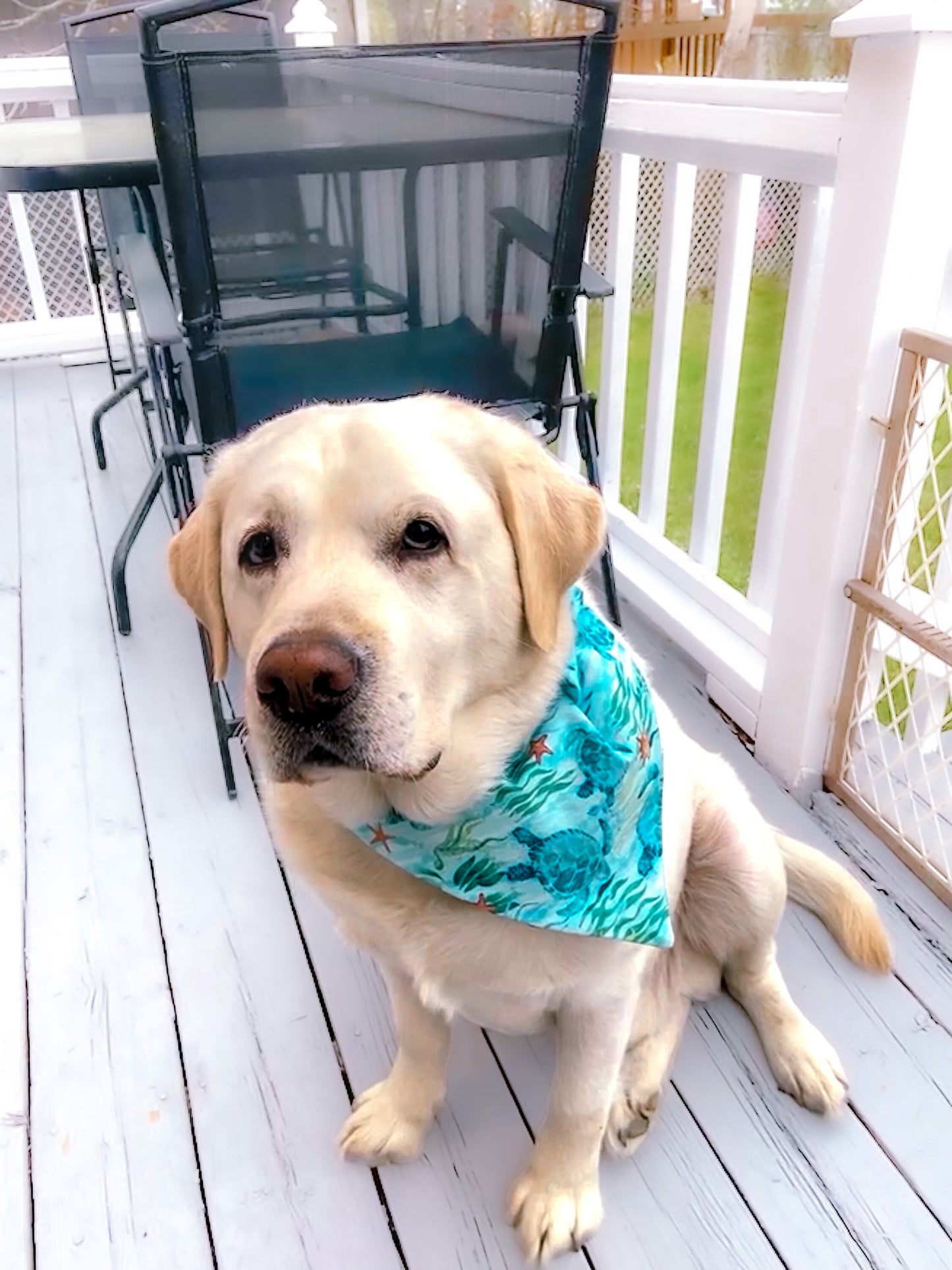 Deep Blue Sea Collection - Sea Turtle Pet Bandanas and Hair Scrunchies