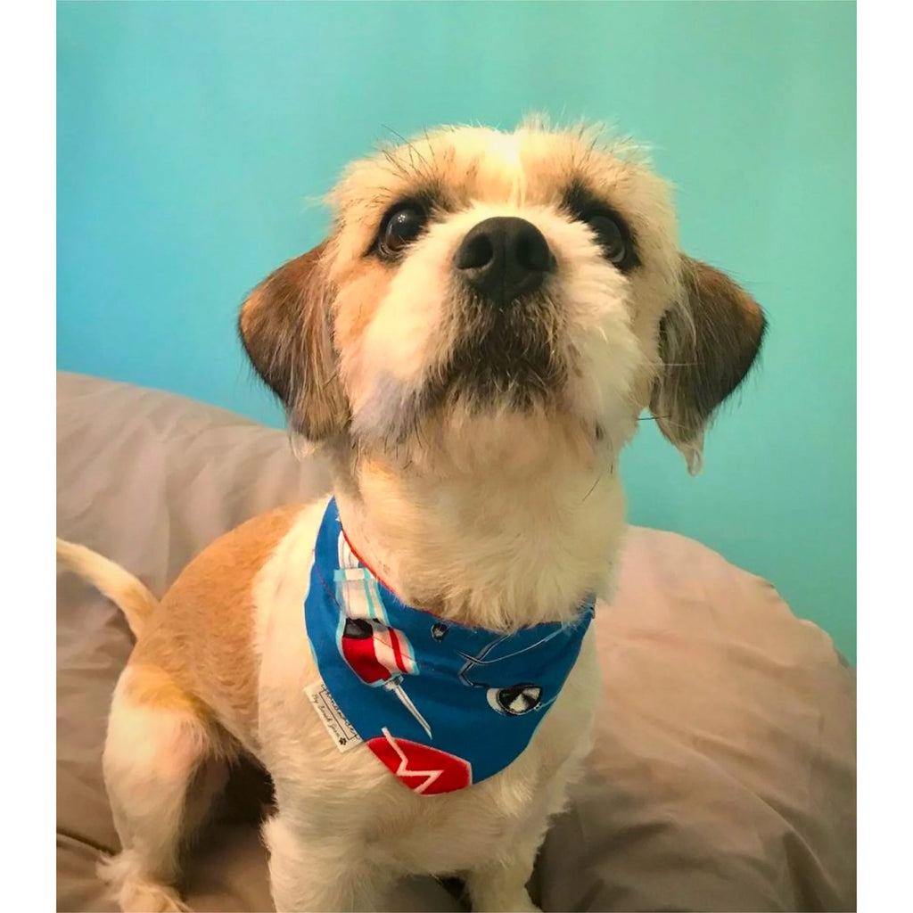 Healthcare Hero Collection - Stethoscope Pet Bandanas