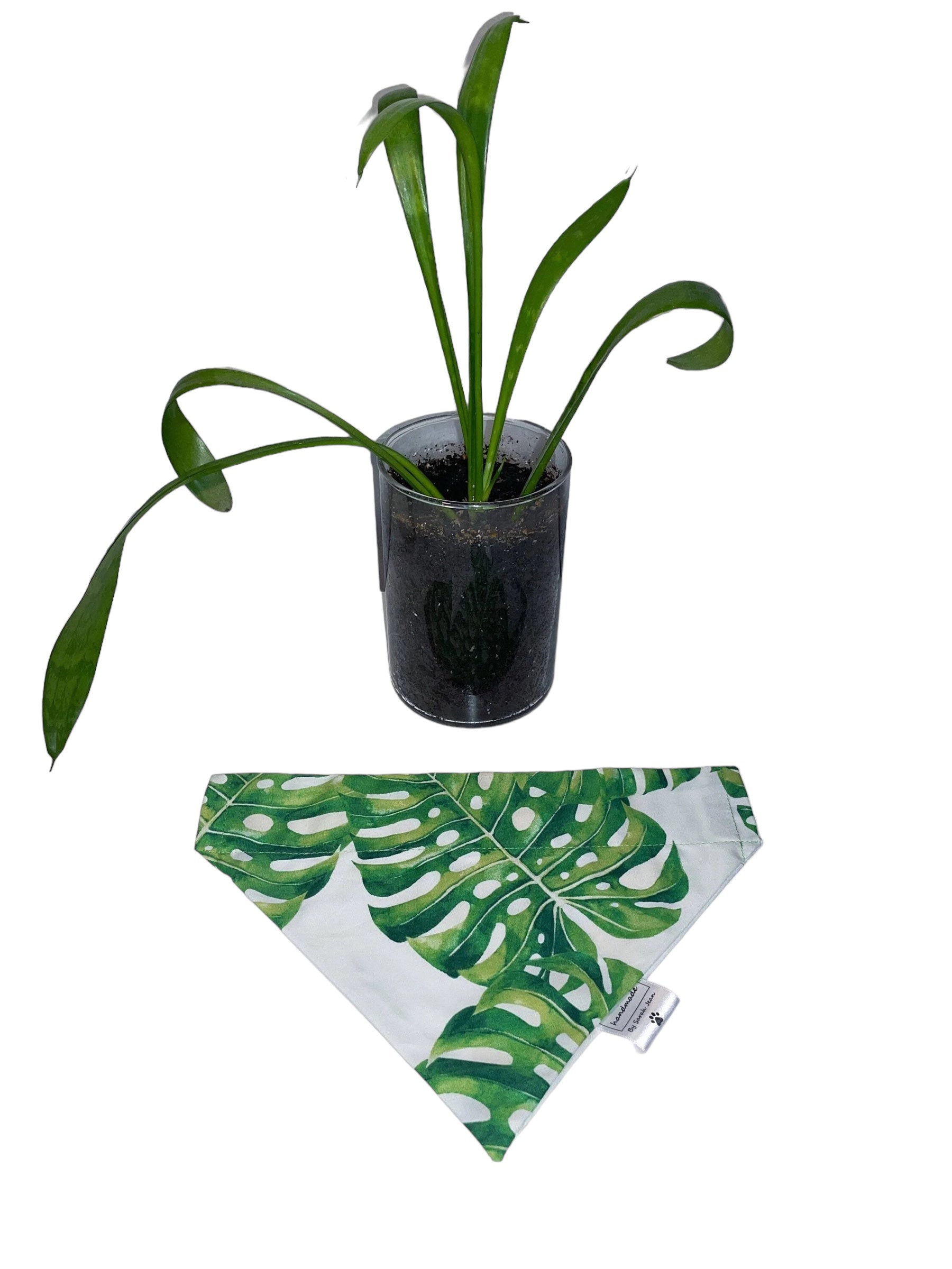 Tropical Paradise Collection - Monstera Leaf Pet Bandana