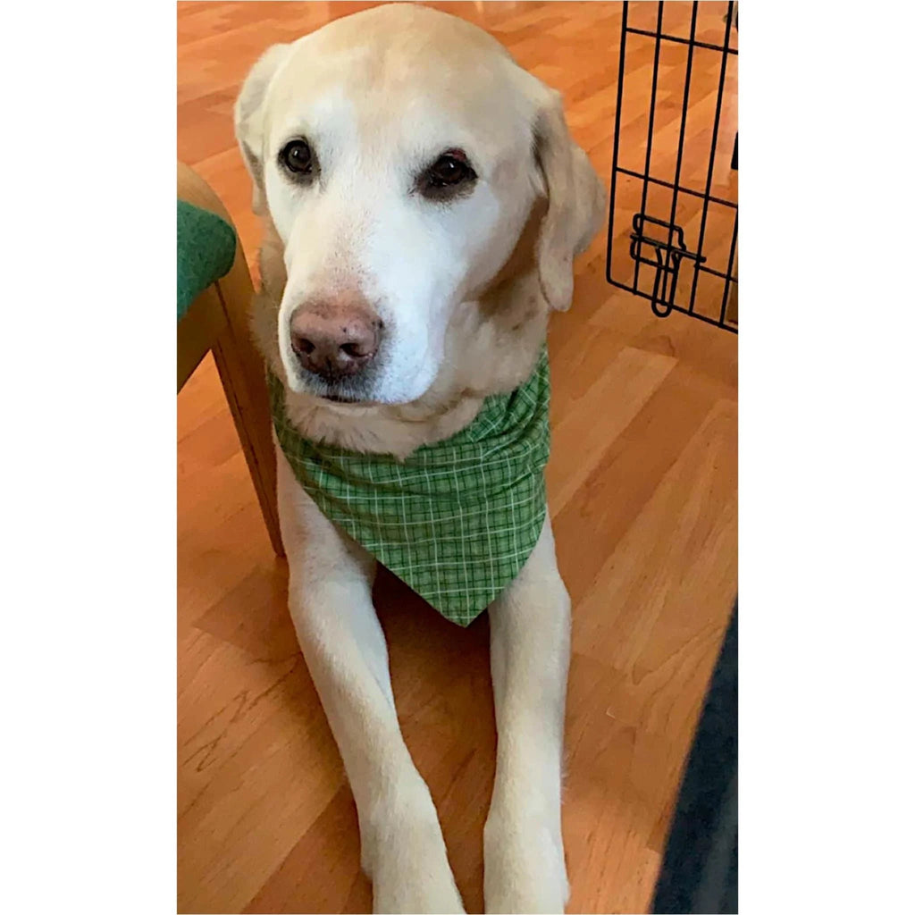 Green Plaid Pet Bandanas and Hair Scrunchies