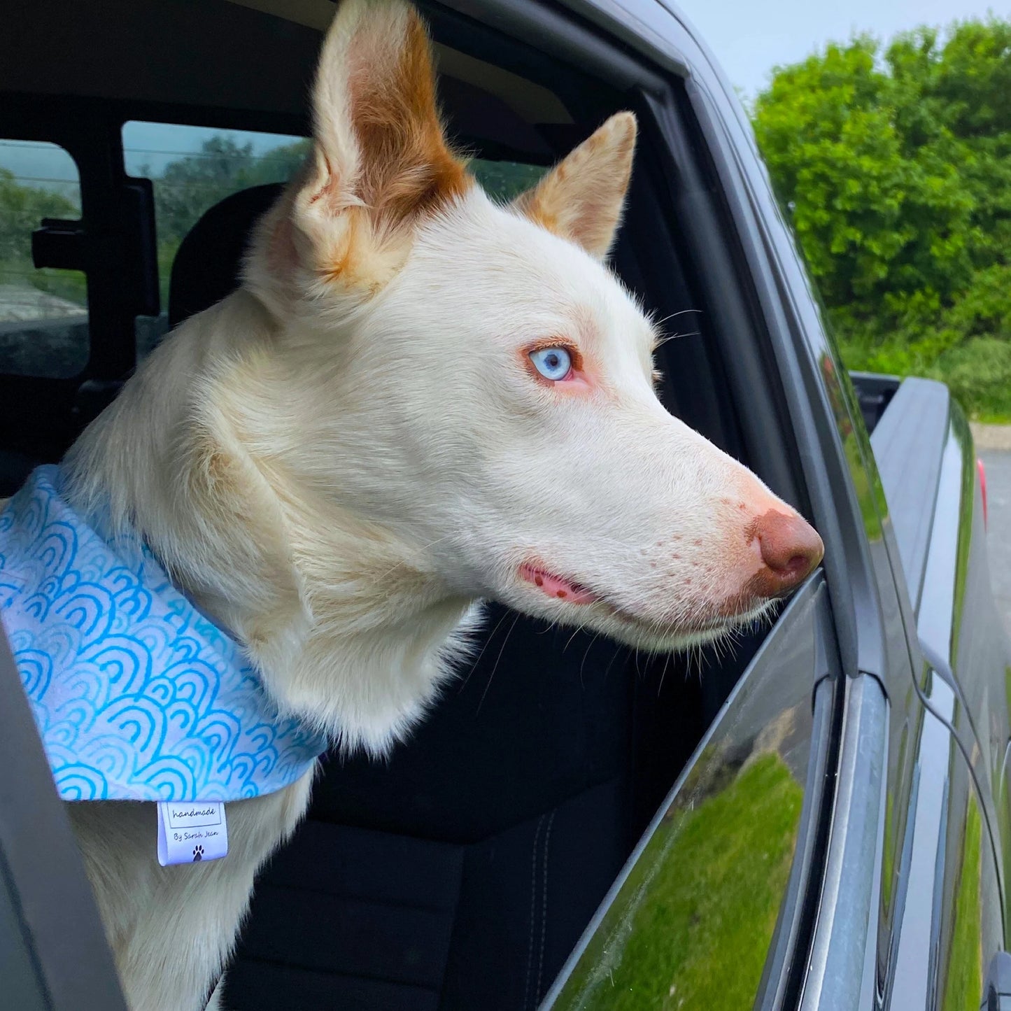 Sailboat Pet Bandanas