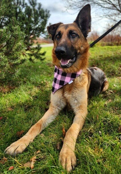 Buffalo Plaid Collection - Pink Pet Bandanas and Hair Scrunchies