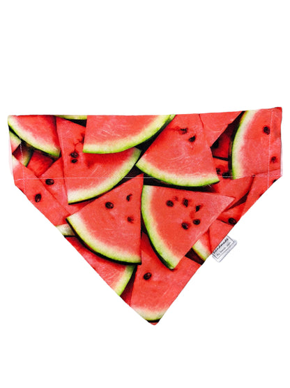 Summer Spritzer Collection - Watermelon Pet Bandanas and Hair Scrunchies