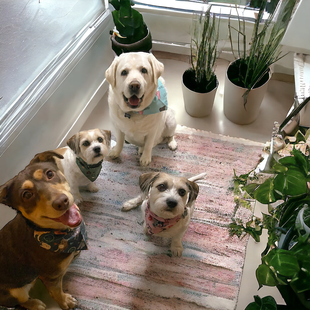 Adoption Collection - Adoption Saves Lives Pet Bandana and Hair Scrunchie