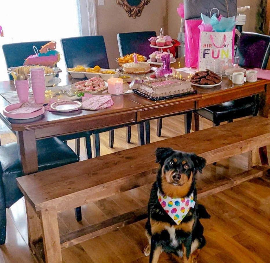 Happy Birthday Collection - Cupcakes Pet Bandanas and Hair Scrunchies