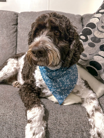 Floral Collection - Blue Printed Denim Pet Bandanas and Hair Scrunchies