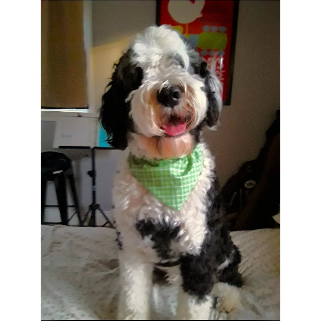 Green Plaid Pet Bandanas and Hair Scrunchies
