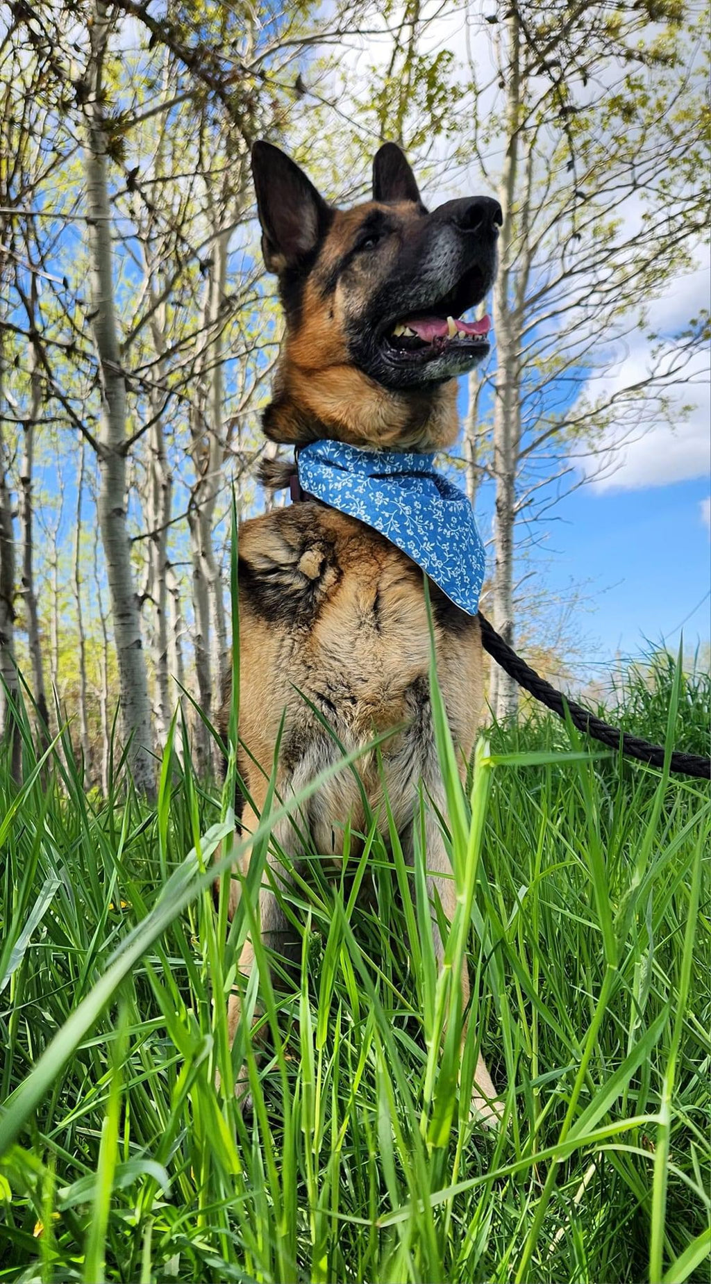 Floral Collection - Blue Printed Denim Bandana and Hair Scrunchie