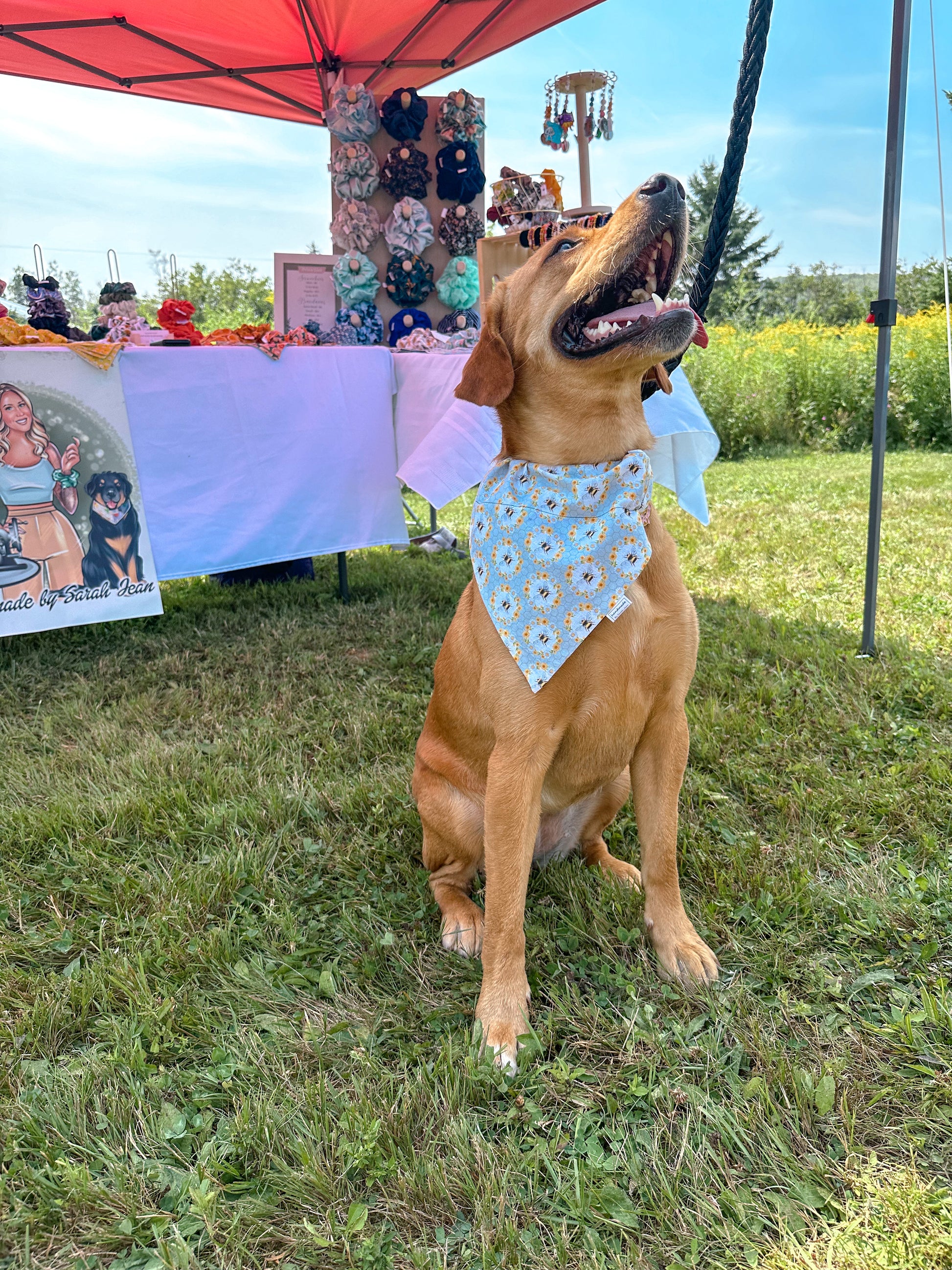 Bugs n’ Bees Collection - Honeycomb Cotton Pet Bandana