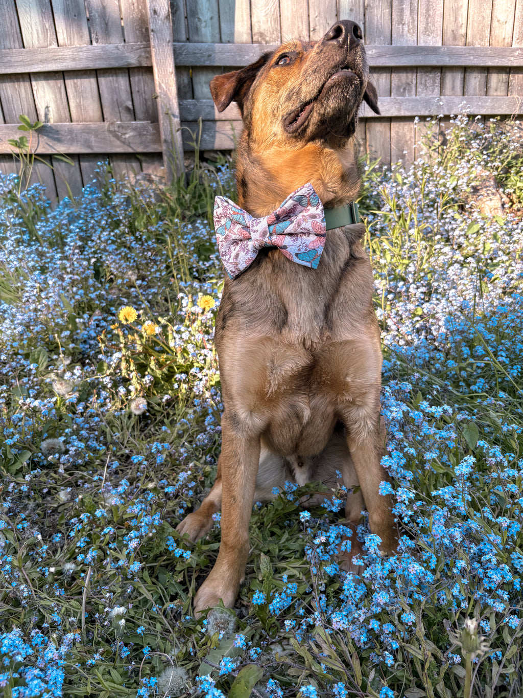 Flutter and Bloom Collection - Blush Flutter Bow Tie