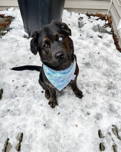 Sailboat Pet Bandanas