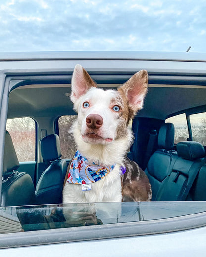 Whatever Floats Your Boat - Lighthouse Pet Bandanas