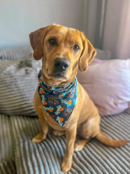 Fall Adventure Collection - Hello Fall Pet Bandanas and Hair Scrunchies