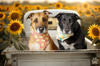 Buzzy Bee Collection - Lemons and Bees Pet Bandanas