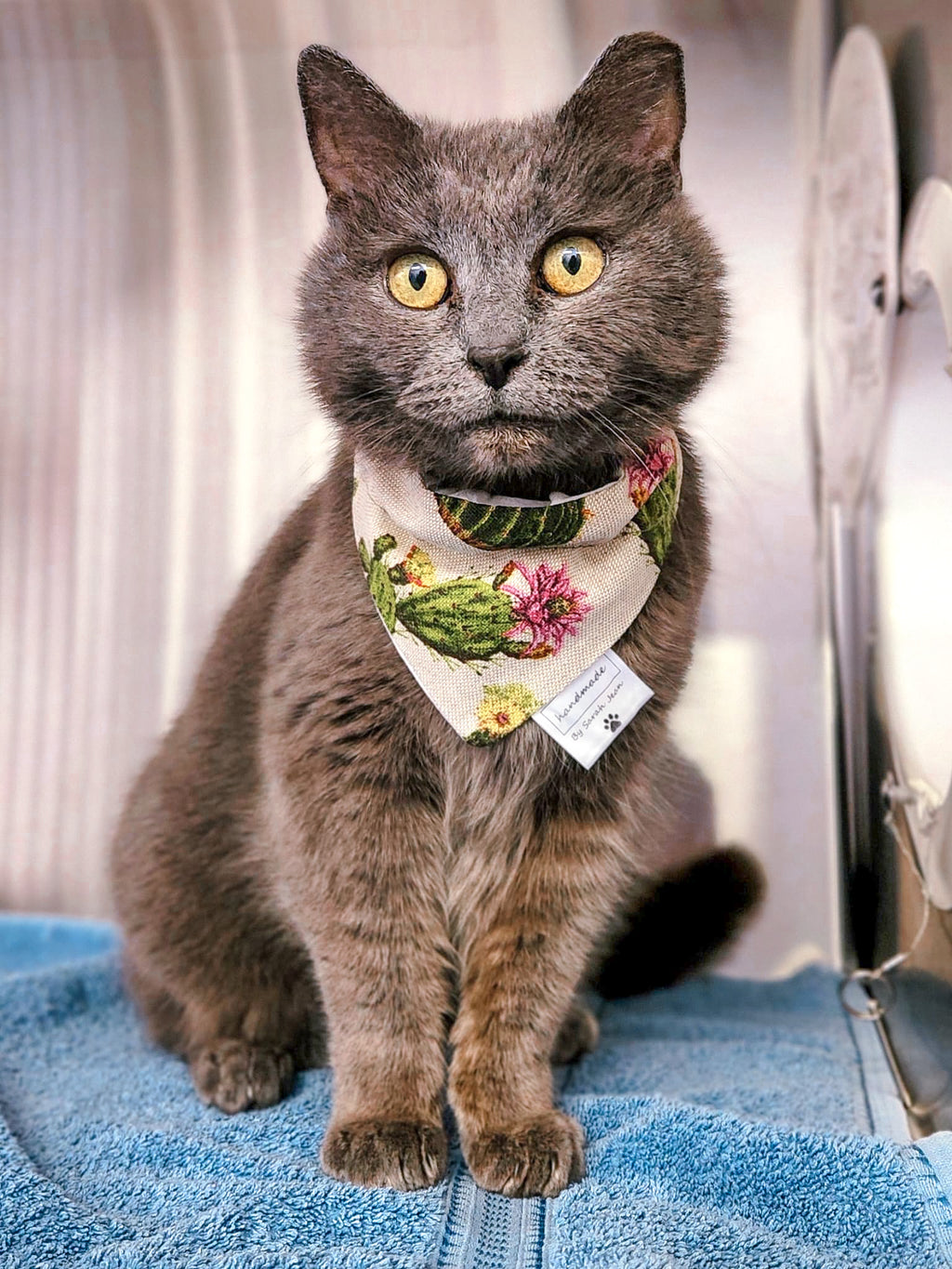 Lookin' Sharp Collection - Cactus Pet Bandanas