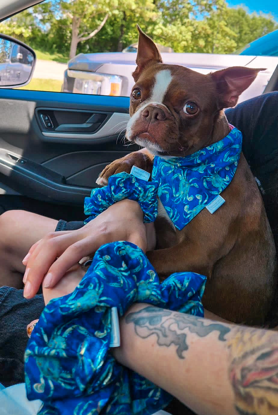 Sea Squad Collection - Crabby Crew Bandana and Hair Scrunchie