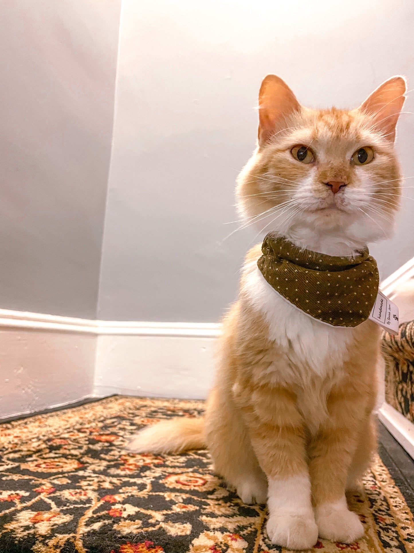 Olive Green Corduroy Pet Bandanas