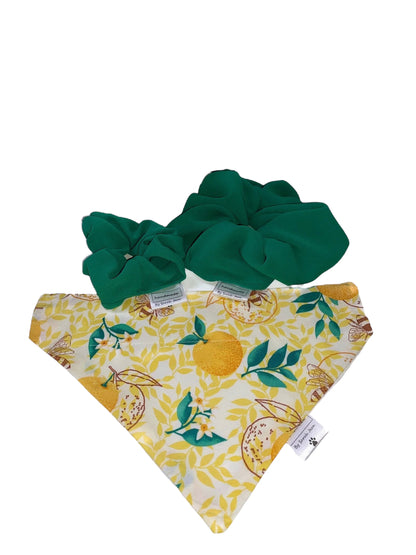 Buzzy Bee Collection - Lemons and Bees Pet Bandanas