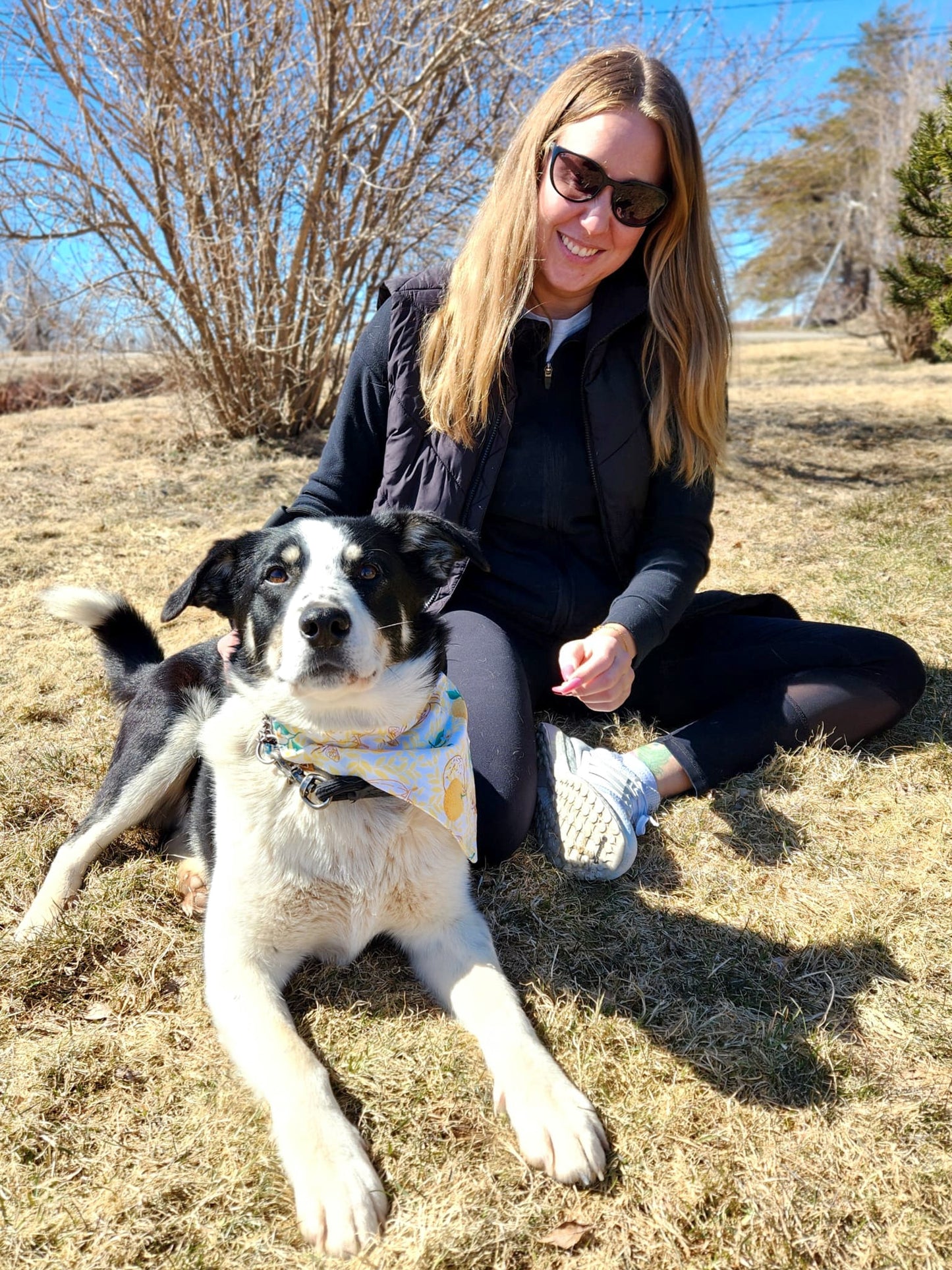 Buzzy Bee Collection - Lemons and Bees Pet Bandanas