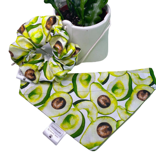 Avocado Pet Bandana